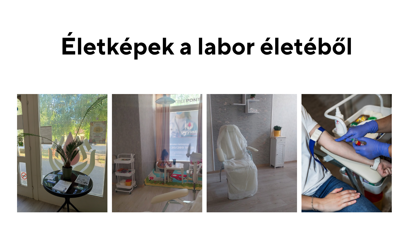 Életképek a labor életéből